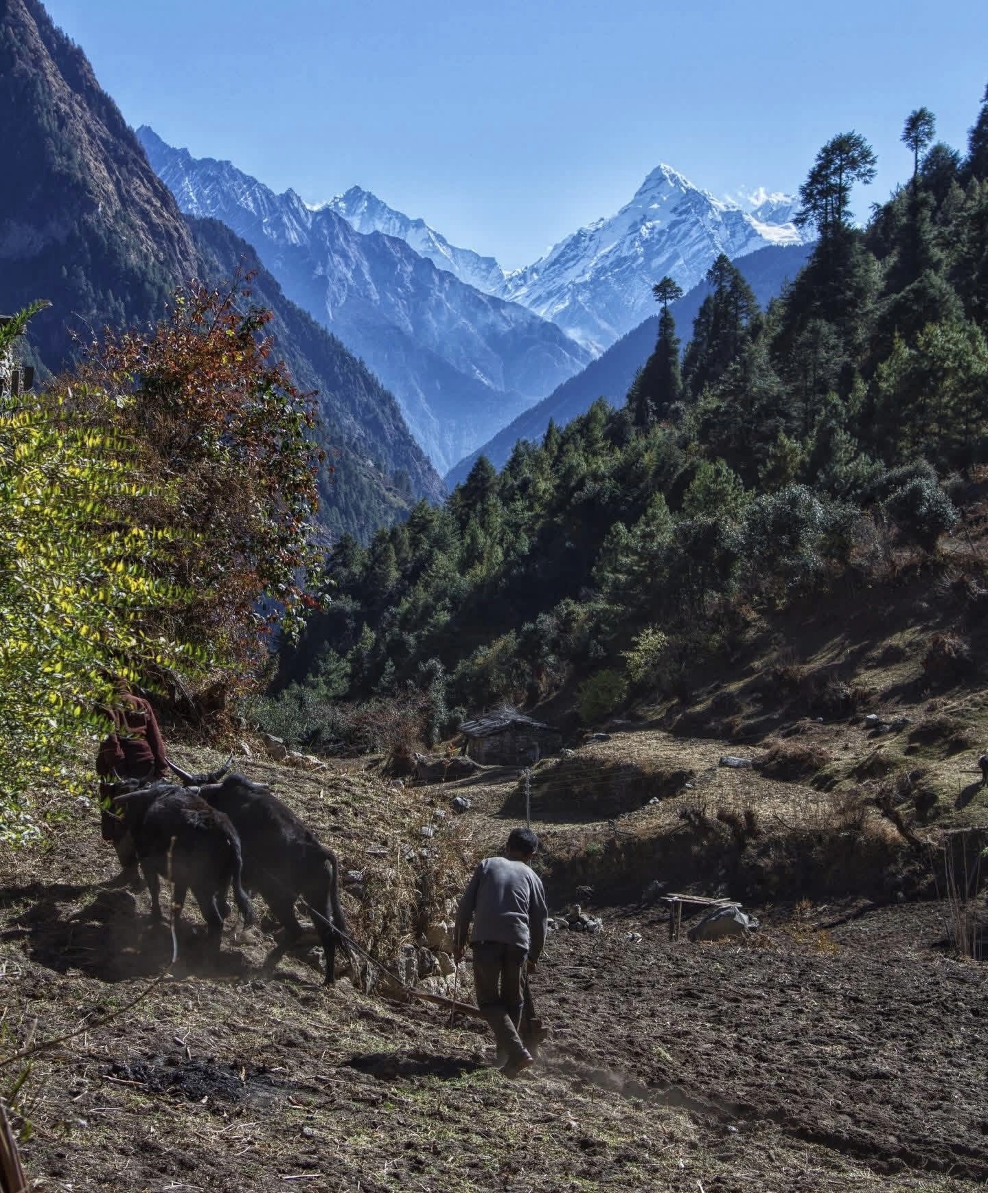 Annapurna Region